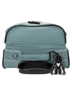 AVIANA S Trolley bagaglio a mano