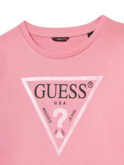 CORE KIDS Felpa con stampa logo triangolo