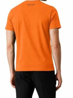 DIGITAL LEVRIERO T-shirt a manica corta, in cotone