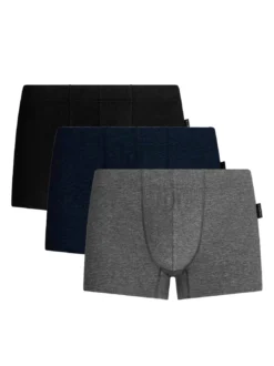 GIL 3 Truncks Boxer