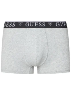 LOGO CLASSIC 5 Boxer multicolor