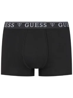 LOGO CLASSIC 5 Boxer multicolor