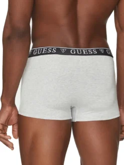 LOGO CLASSIC 5 Boxer multicolor