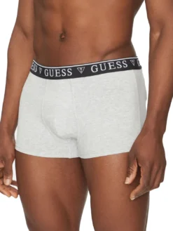 LOGO CLASSIC 5 Boxer multicolor