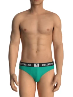 NEW PUPINO BRIEF 2 slip