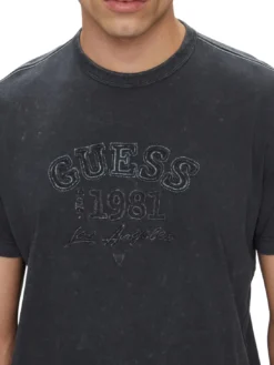 SS CN TREATED T-Shirt in cotone